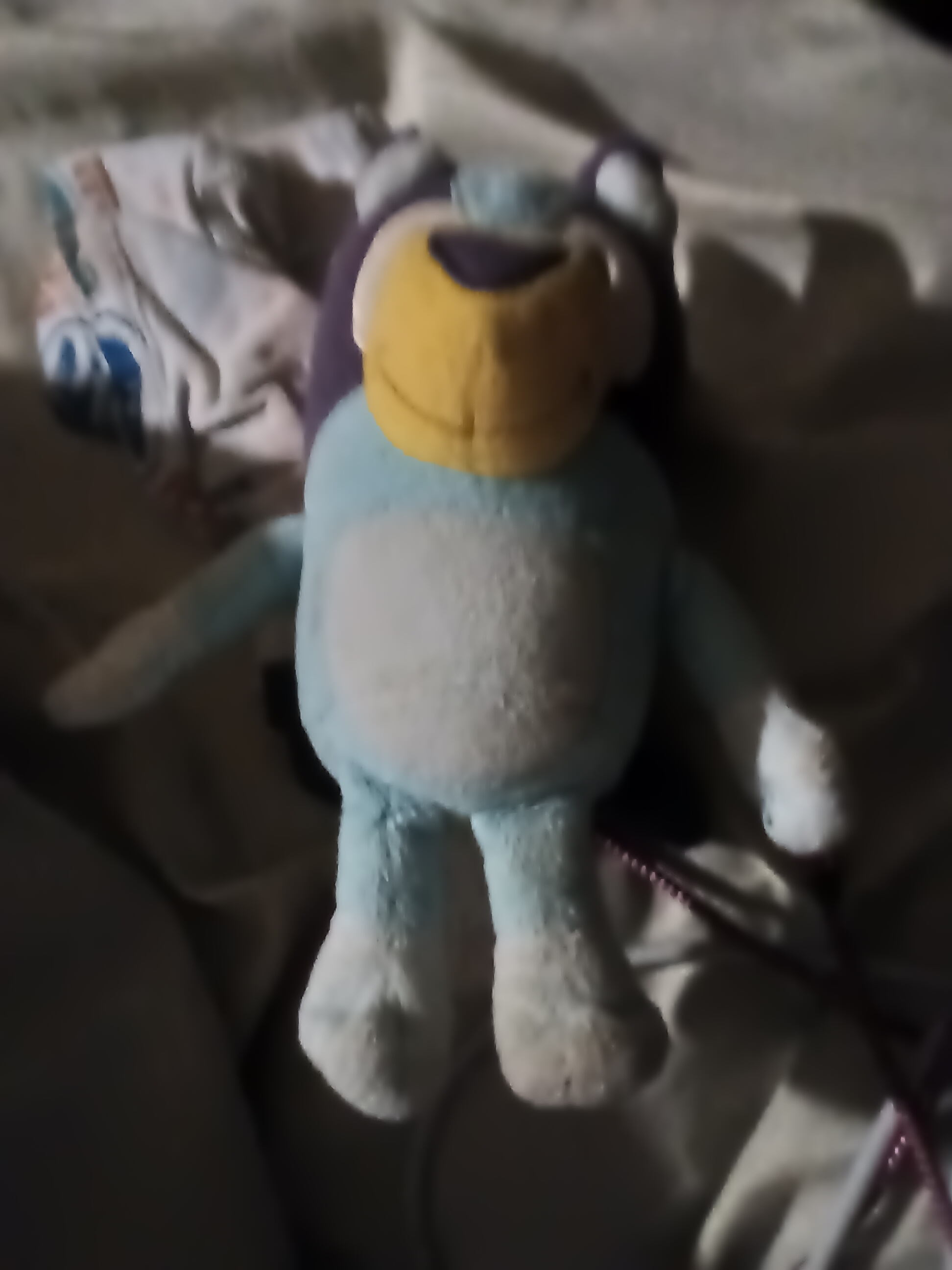 Blúi
